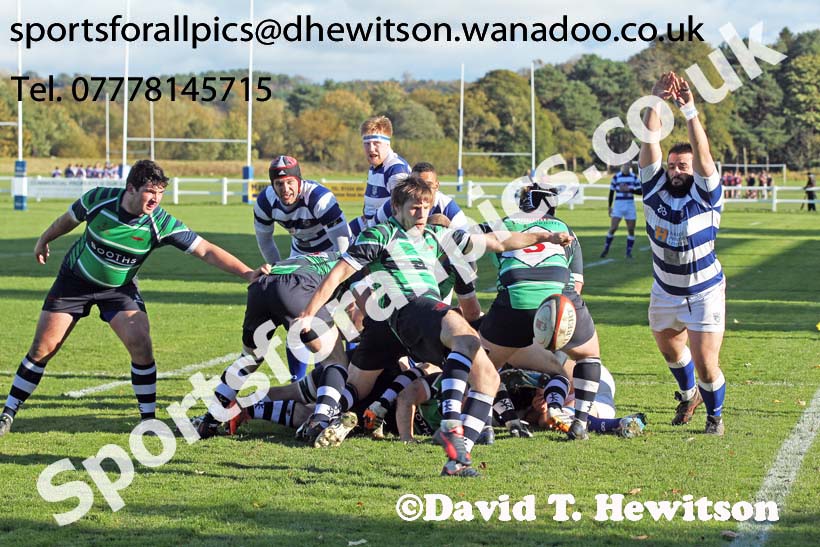 Tynedale v Preston Grasshoppers, Tynedale Park, Corbridge, Northumberland. Photo: David T. Hewitson/Sports for All Pics